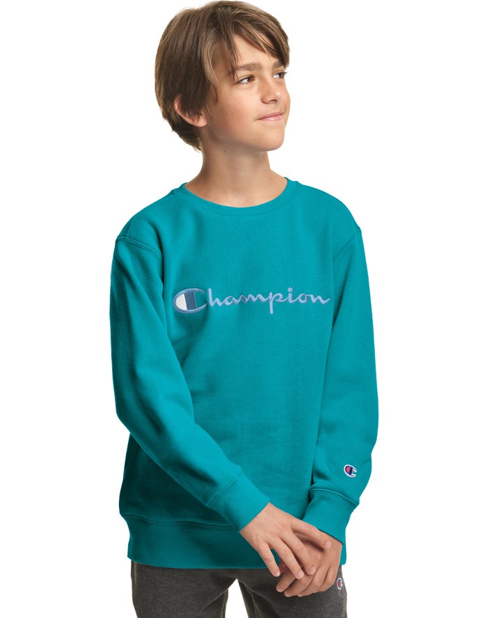 Champion Drenge Sweatshirt Turkis - Fleece Crew Embroidered Logo - Danmark AGI-830574